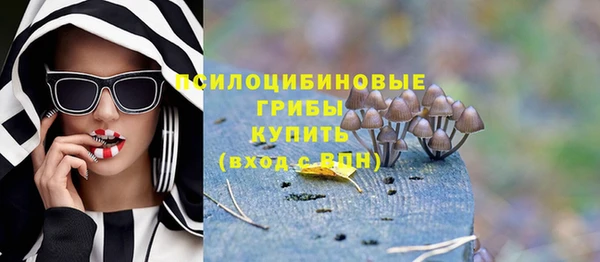 mdpv Бронницы