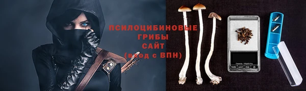 mdpv Бронницы