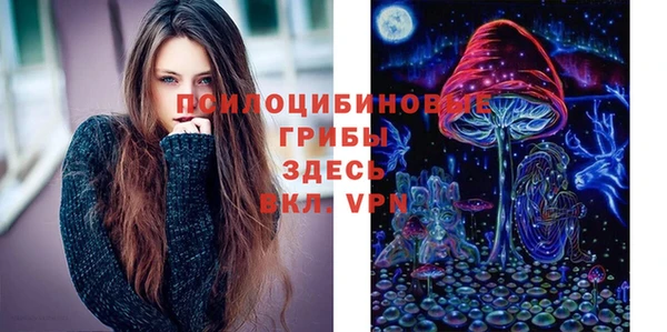 mdpv Бронницы