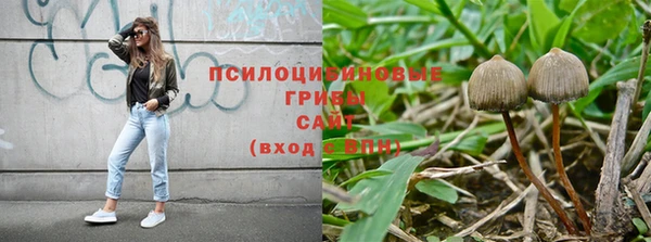 mdpv Бронницы